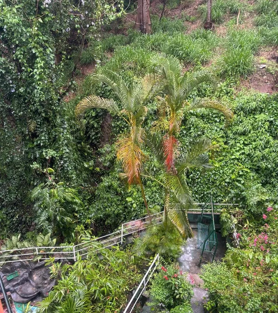 Creek Edge Apartment Kandy